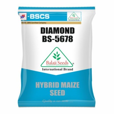 DAIMOND BS - 5678